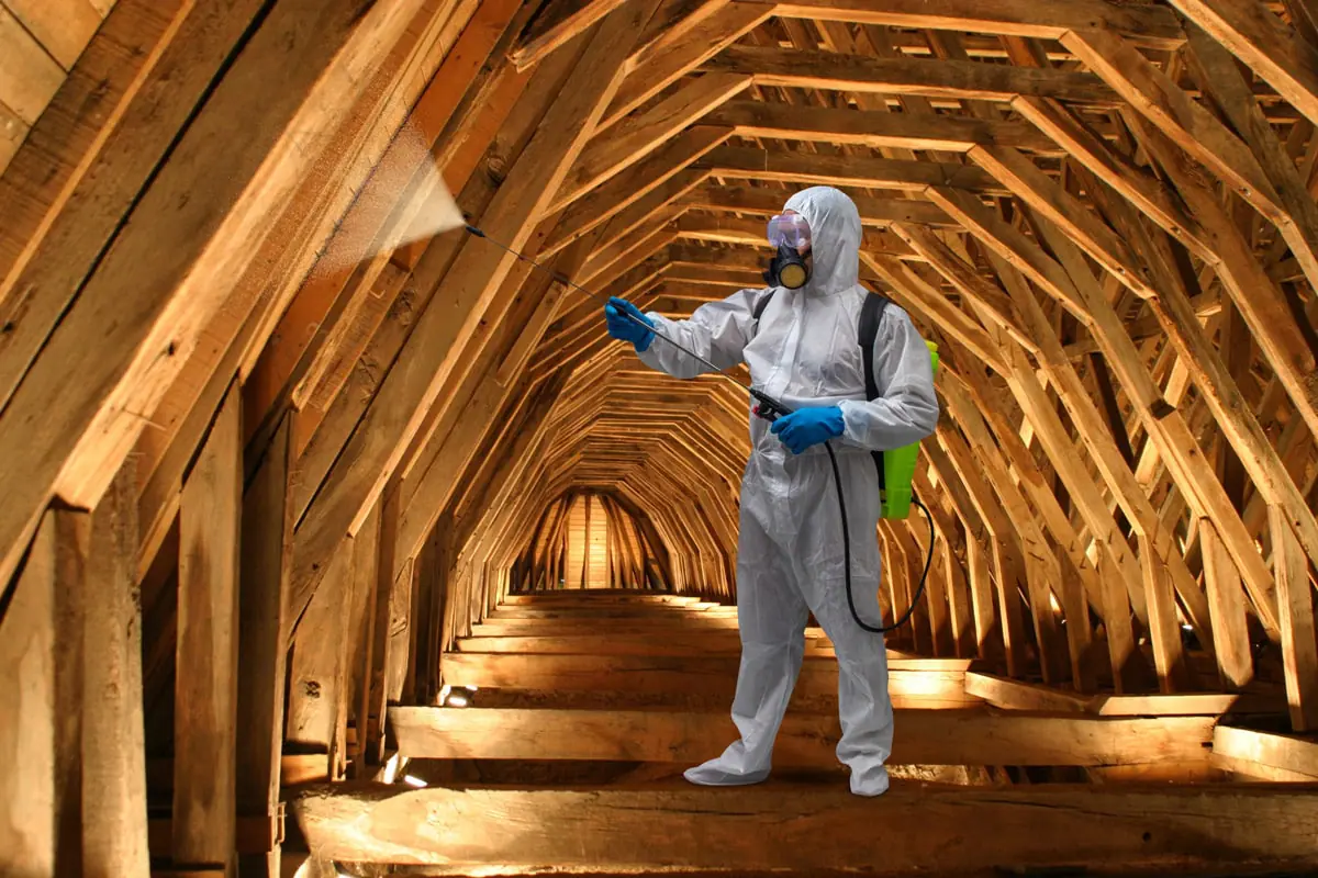 Services complémentaires maison