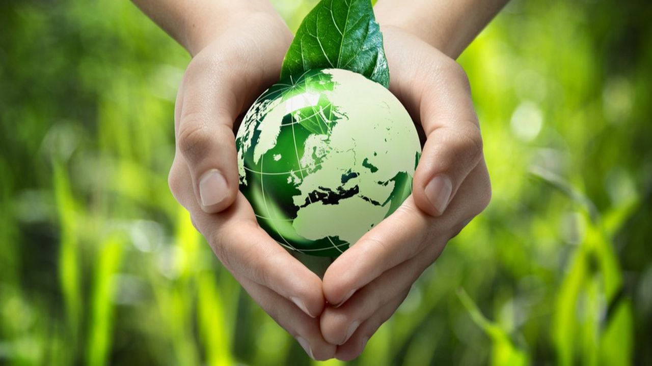 Équipe Normes et Rénovation — solutions durables