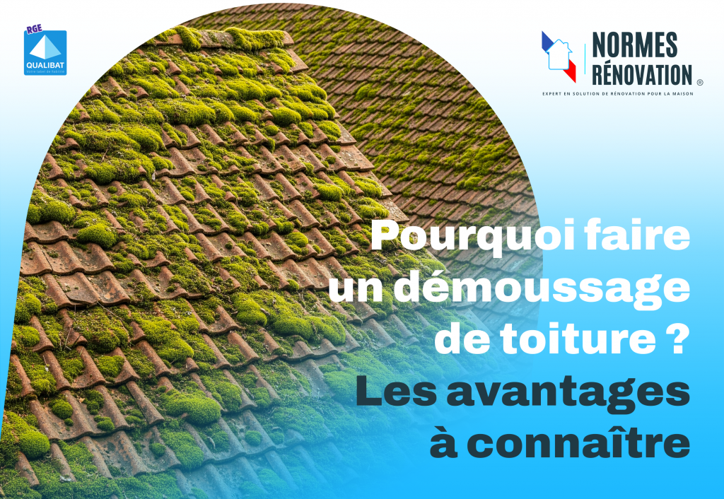 Démoussage Toiture Anost Anost